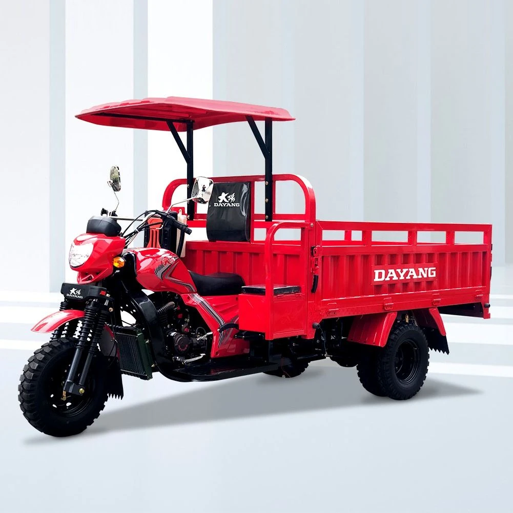 Three Wheel Cargo Motorbike supplier