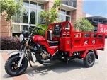 Tricycle Lasta 250cc do Dhaoine Fásta