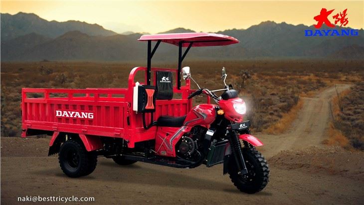 Three Wheel Cargo Motorbike OEM