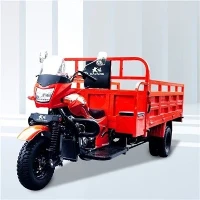 Mótar Lasta Trí Roth 300cc
